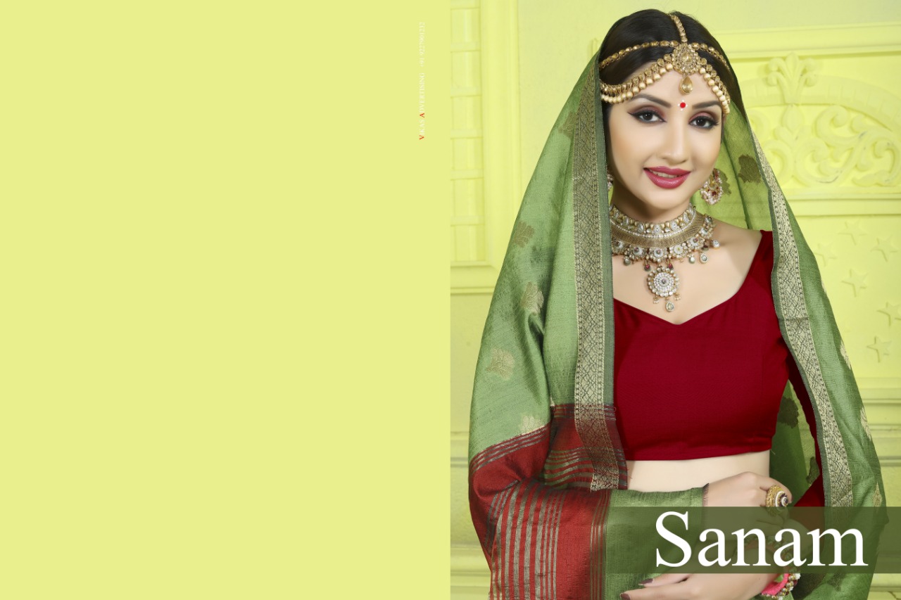 Dwarka nath silk mills presenting sanam casual daily wear rich look collection of sarees