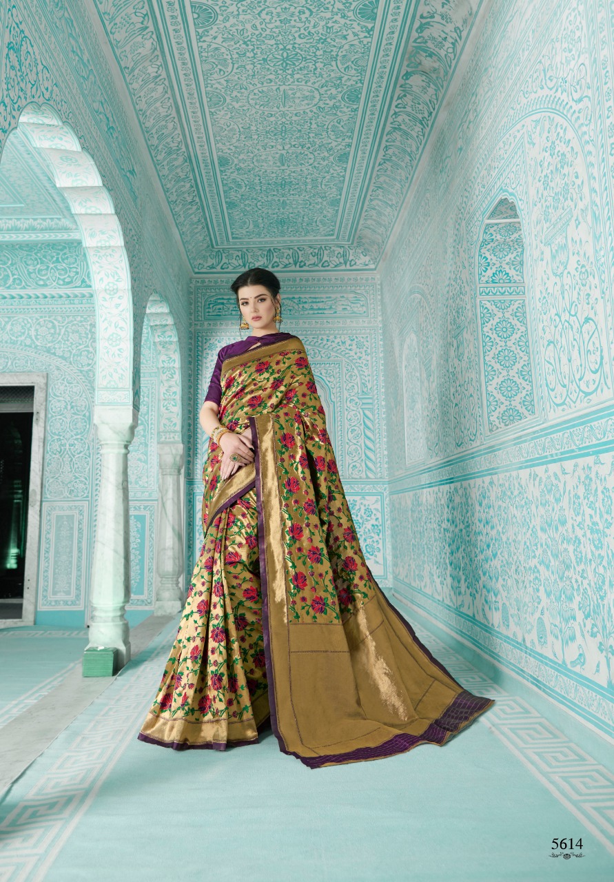 shangrila paithani colorful designer collection of sarees