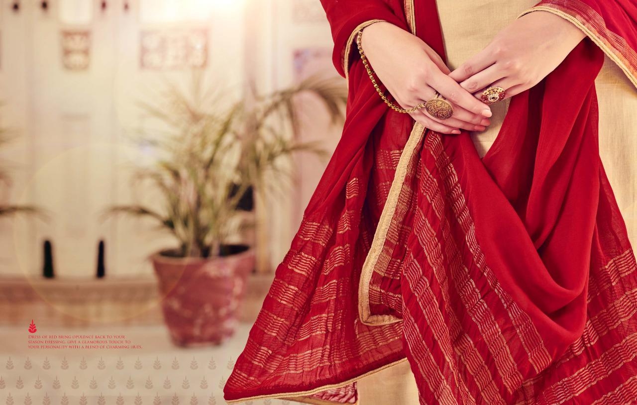 netra Sargam Prints cotton elegant style salwar suit catalog