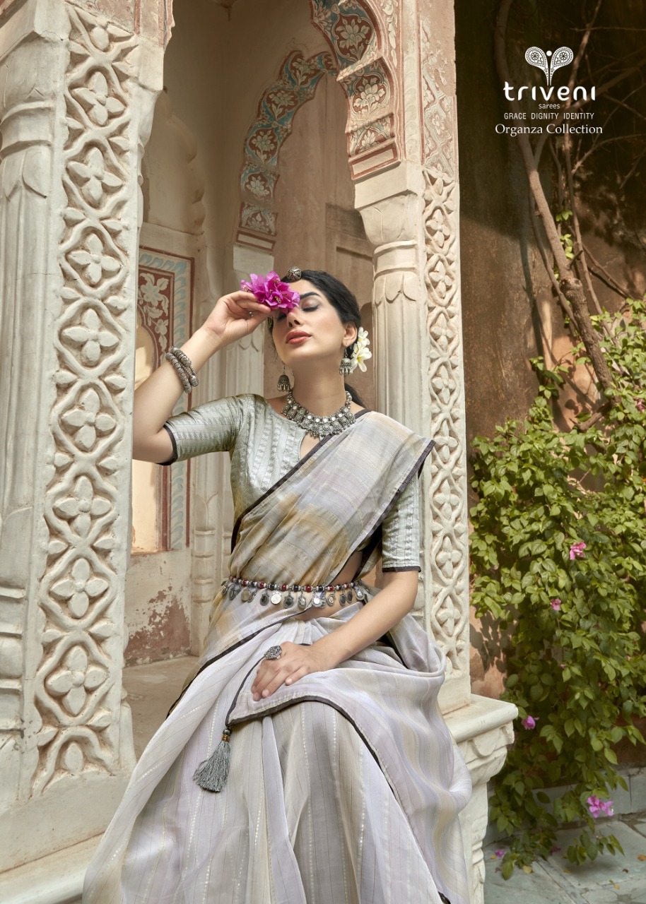 triveni saree arth organza gorgeous print saree catalog